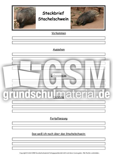 Stachelschwein-Steckbriefvorlage.pdf